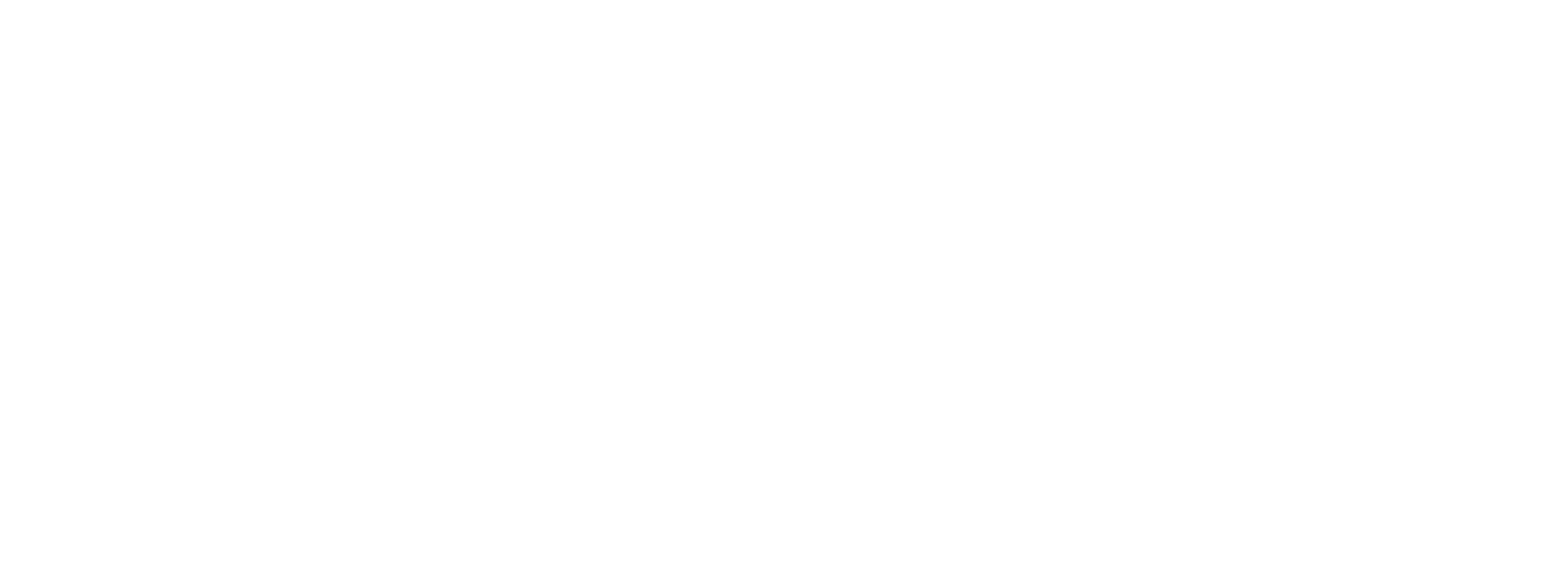 Logo De Souza Aranha Fundo Transparente Branco